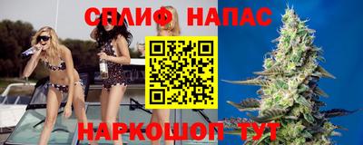 spice Баксан
