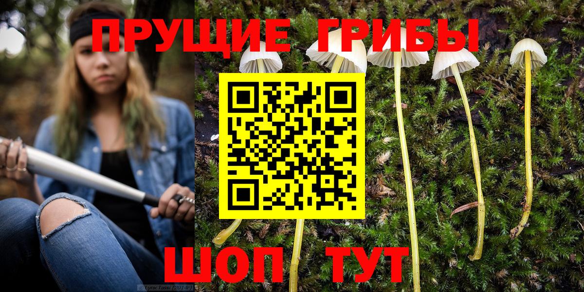 Городец  Псилоцибиновые грибы MAGIC MUSHROOMS  Вход с VPN 